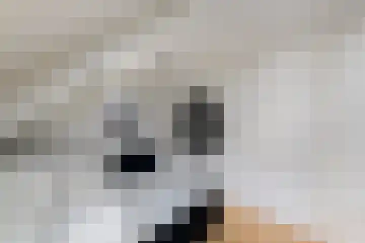 Dr.Dreeslaan 6 Wolvega thumbnail 18