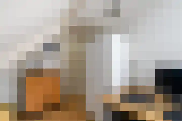 Dr.Dreeslaan 6 Wolvega thumbnail 22