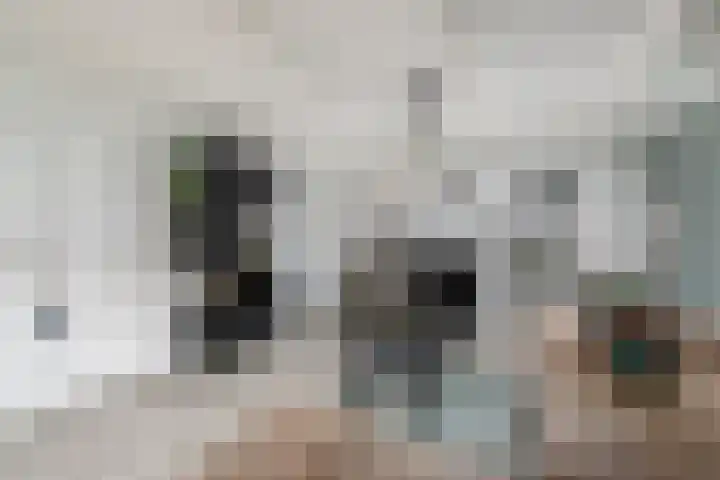 Dr.Dreeslaan 6 Wolvega thumbnail 4
