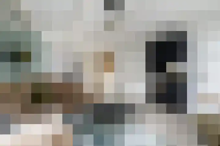 Dr.Dreeslaan 6 Wolvega thumbnail 5