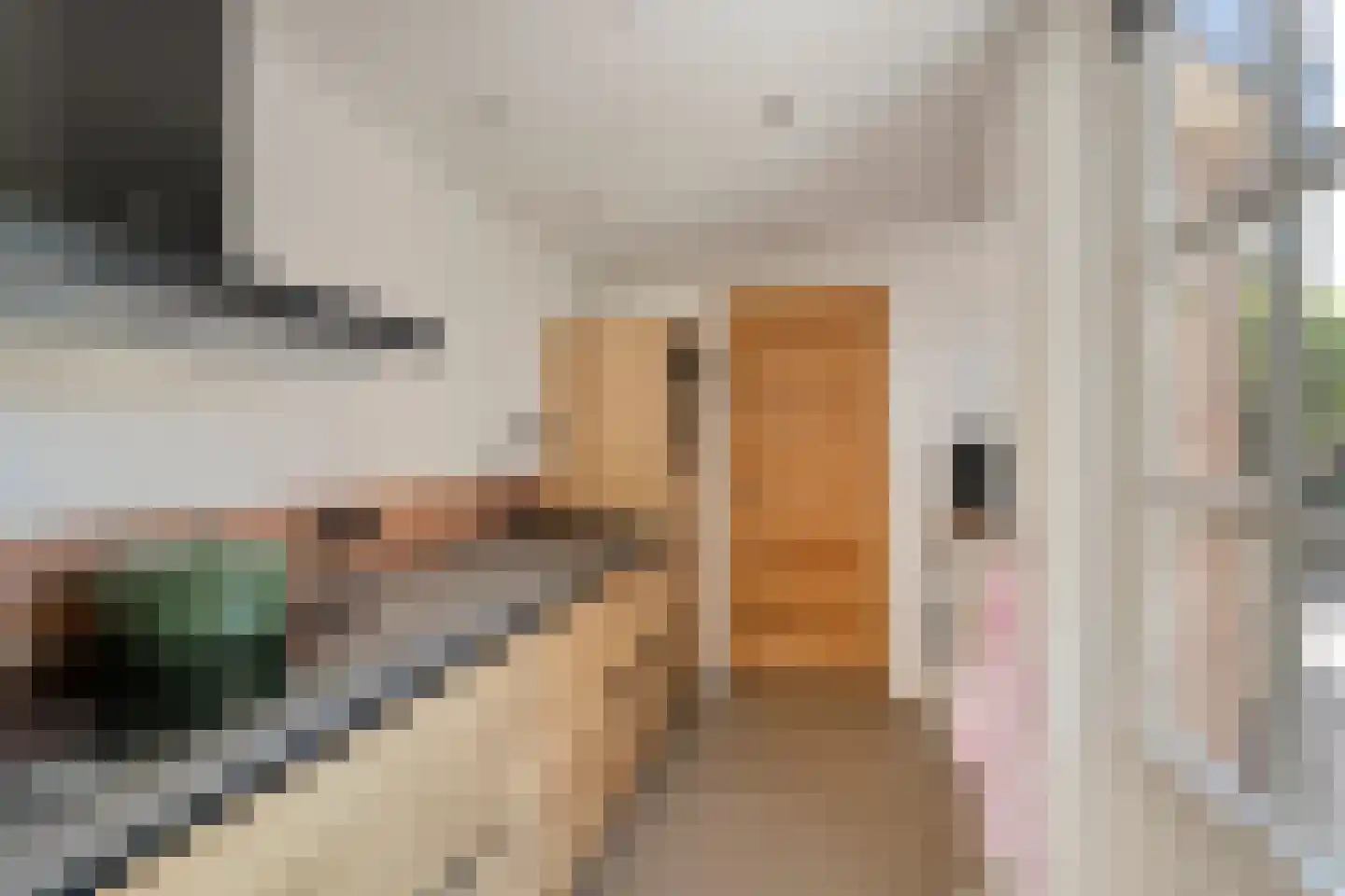 Dr.Dreeslaan 8 Wolvega thumbnail 11