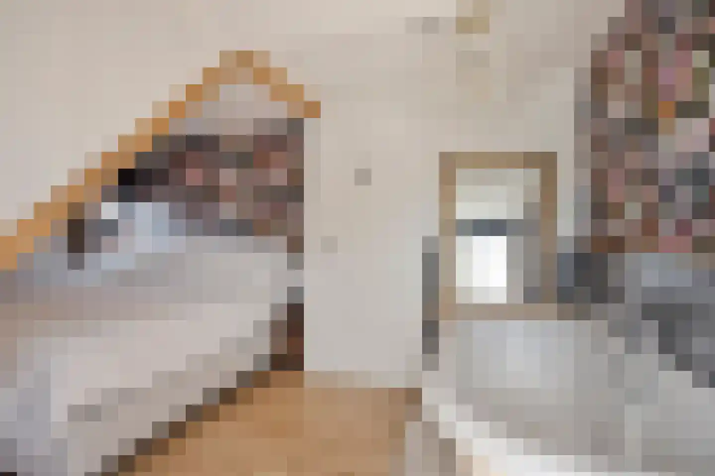 Dr.Dreeslaan 8 Wolvega thumbnail 15