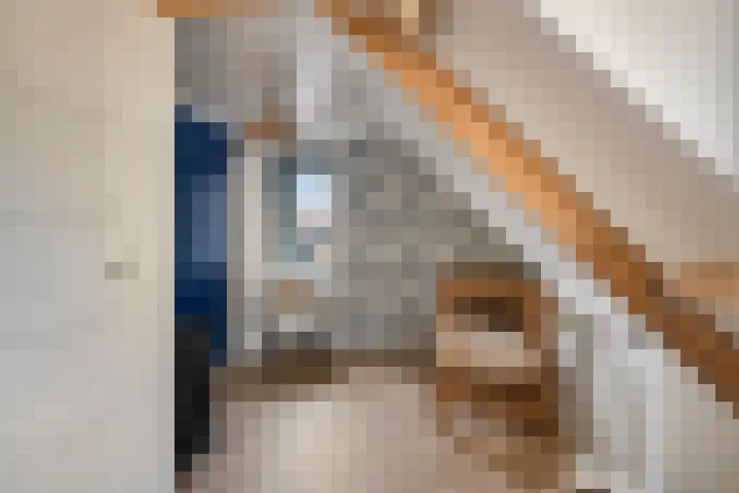 Dr.Dreeslaan 8 Wolvega thumbnail 18