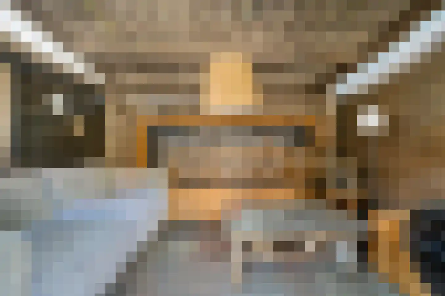Dr.Dreeslaan 8 Wolvega thumbnail 23