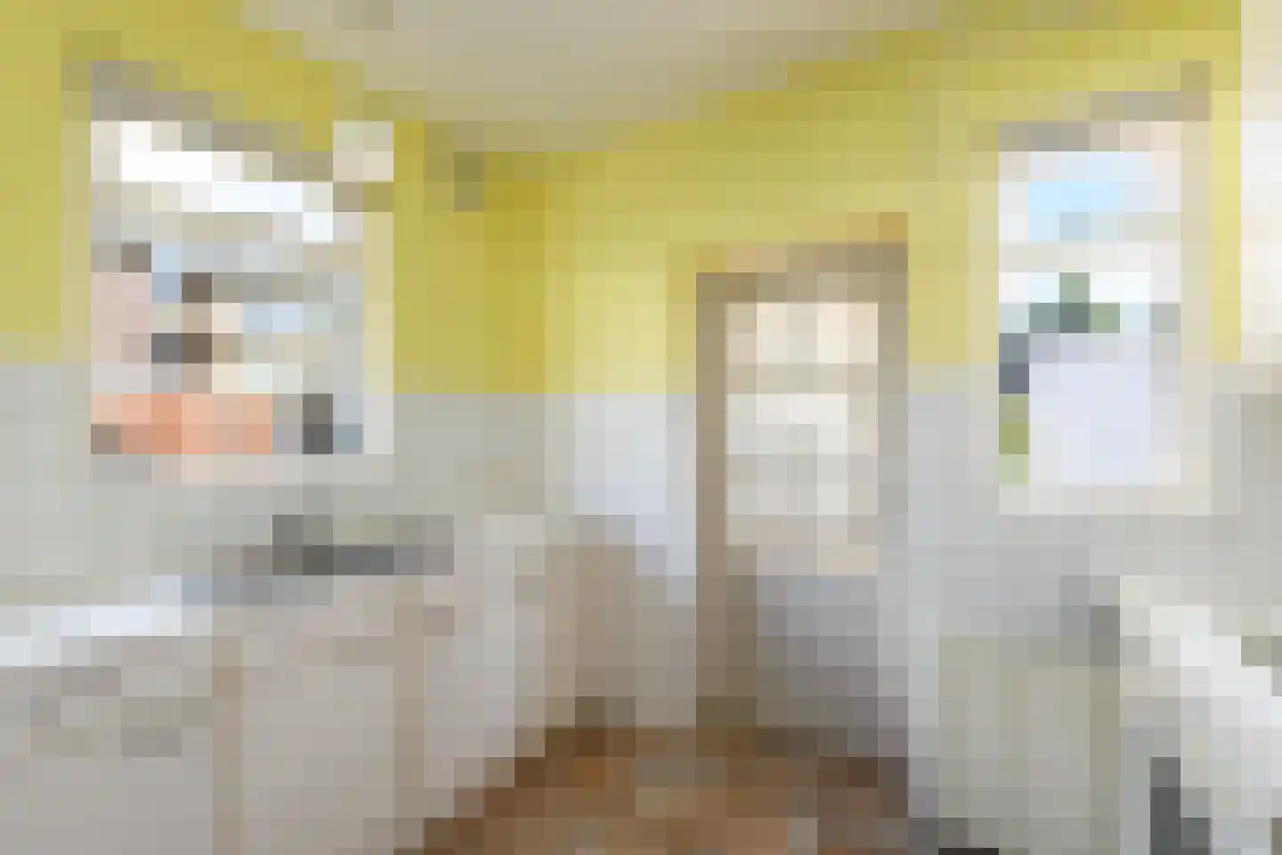 Dr.Dreeslaan 9 Wolvega thumbnail 10