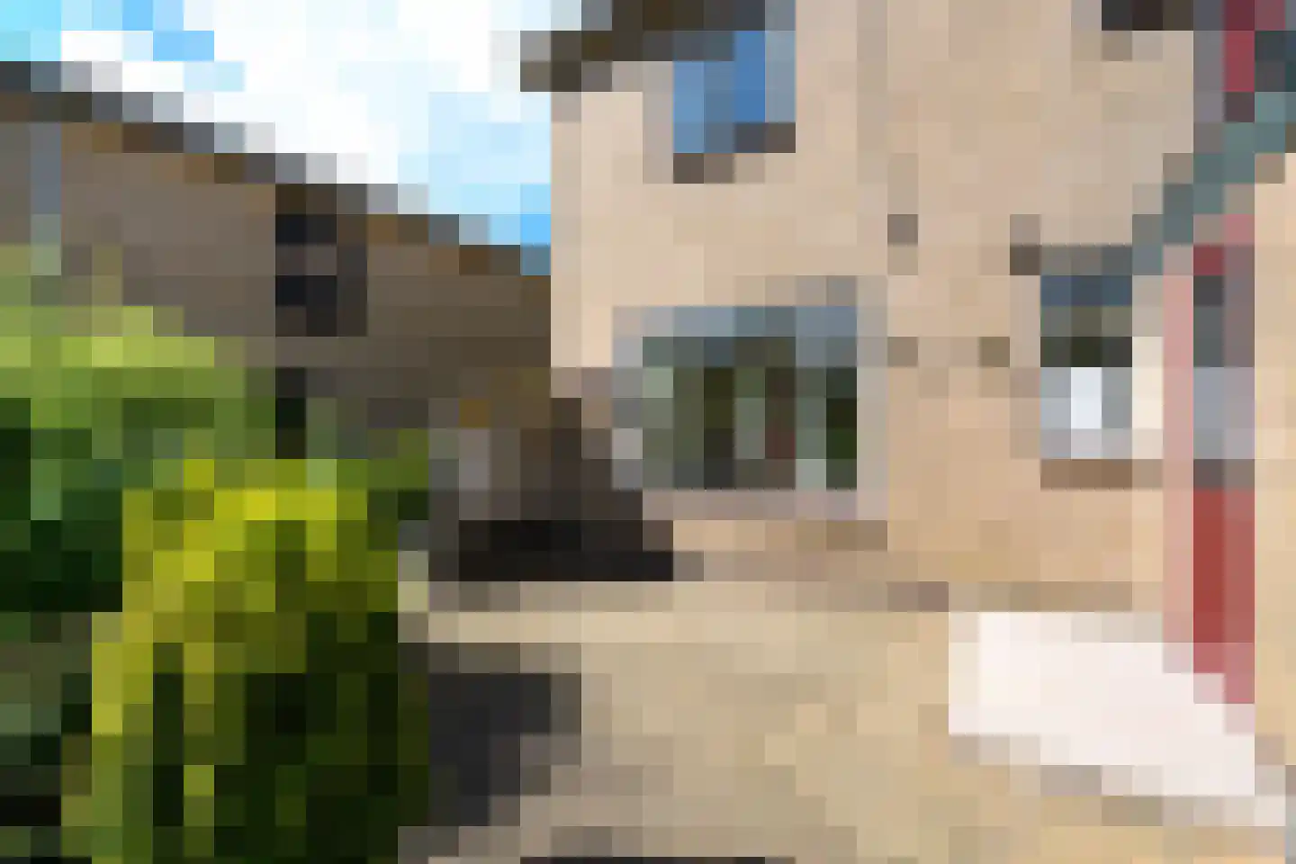 Dr.Dreeslaan 9 Wolvega thumbnail 28