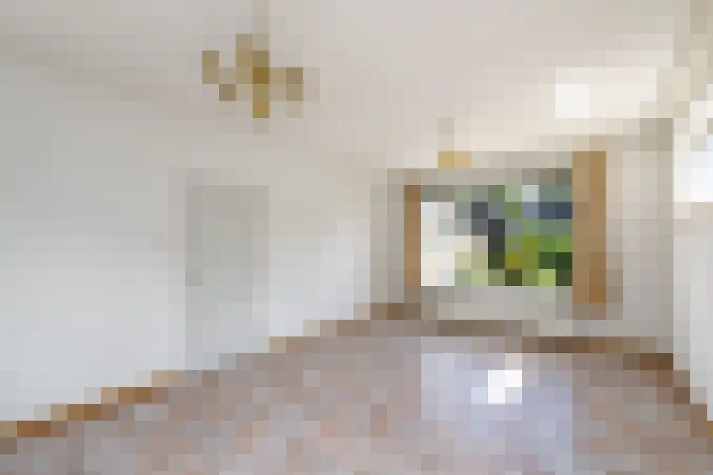 Dr.Dreeslaan 9 Wolvega thumbnail 4