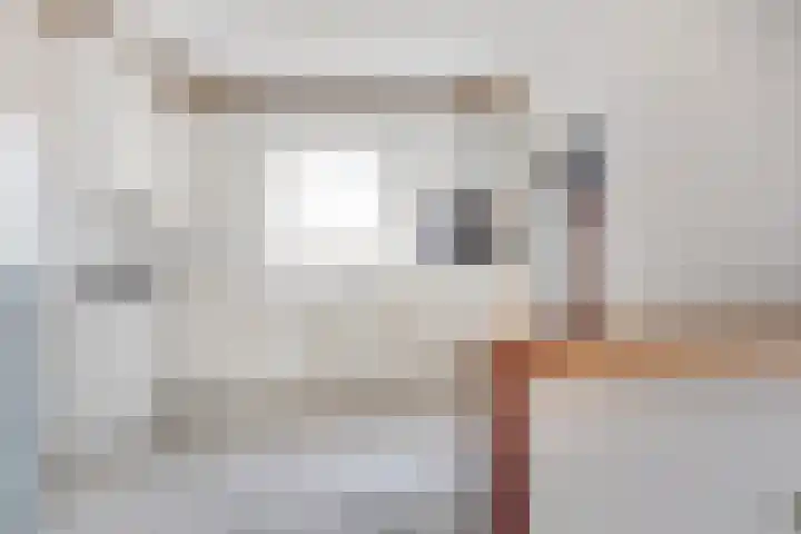 Dr. Duijsenslaan 15 Grevenbicht thumbnail 14