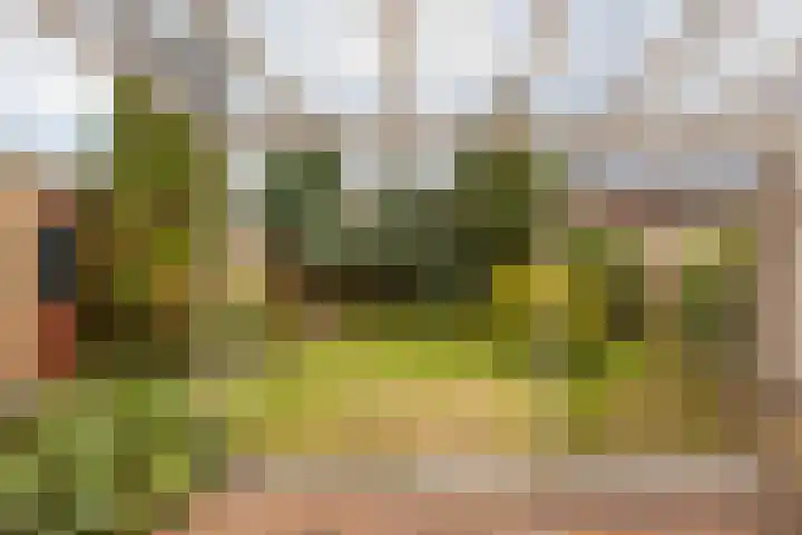 Dr. Duijsenslaan 15 Grevenbicht thumbnail 22