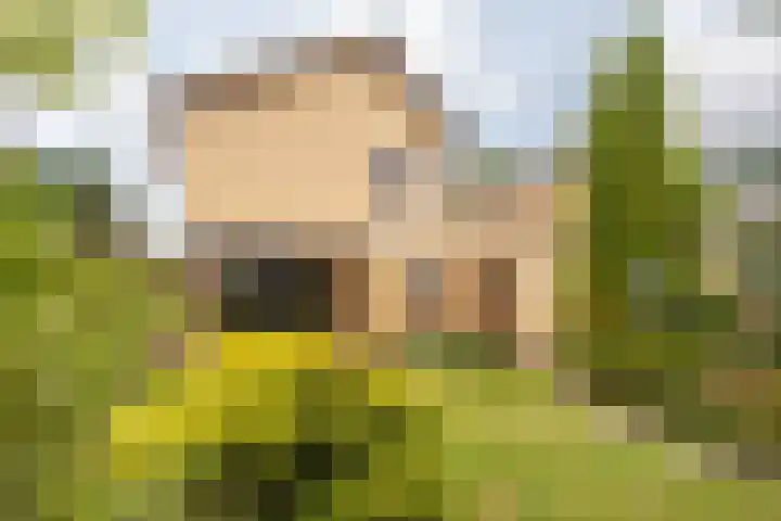 Dr. Duijsenslaan 15 Grevenbicht thumbnail 23