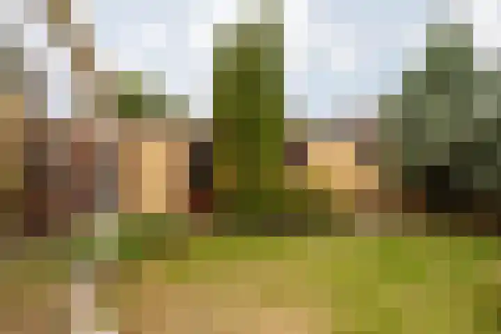 Dr. Duijsenslaan 15 Grevenbicht thumbnail 25