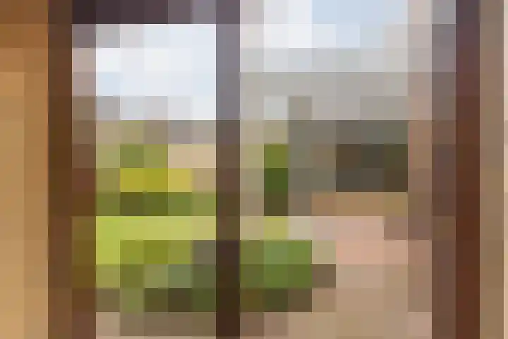 Dr. Duijsenslaan 15 Grevenbicht thumbnail 26