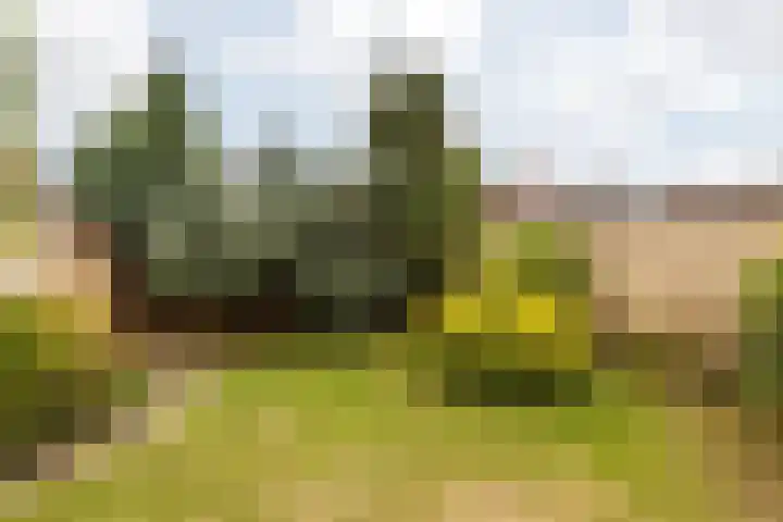 Dr. Duijsenslaan 15 Grevenbicht thumbnail 6