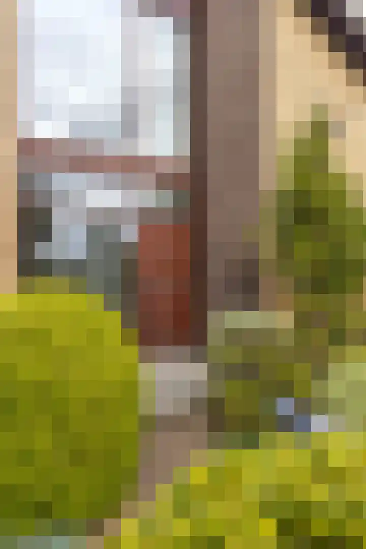 Dr. Duijsenslaan 15 Grevenbicht thumbnail 8