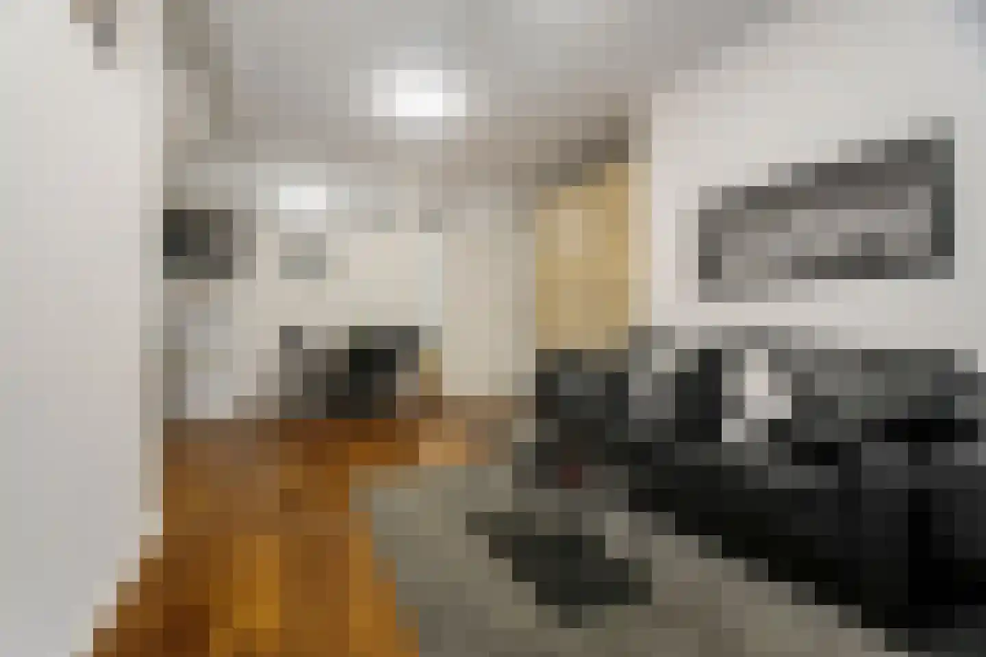 Dr. E. Boekmanstraat 25 Amsterdam thumbnail 11
