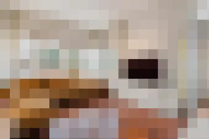 Dr. E.J. Roelfsemalaan 1 Meppel thumbnail 12