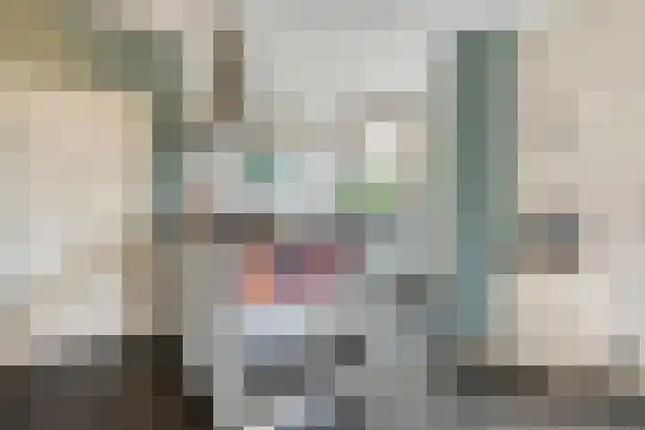 Dr. E.J. Roelfsemalaan 1 Meppel thumbnail 17