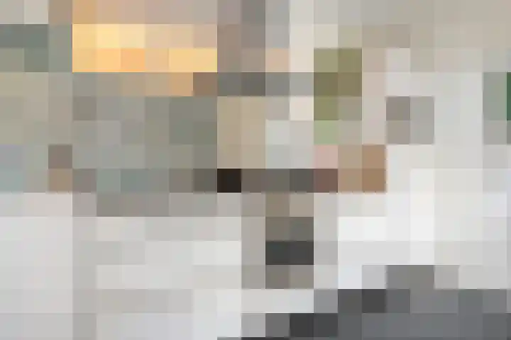 Dr. E.J. Roelfsemalaan 1 Meppel thumbnail 18