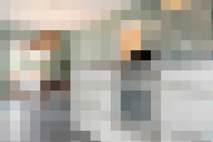 Dr. E.J. Roelfsemalaan 1 Meppel thumbnail 19