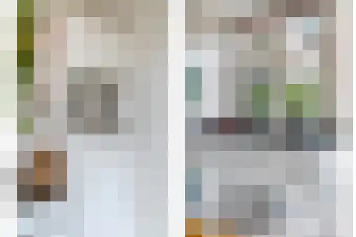 Dr. E.J. Roelfsemalaan 1 Meppel thumbnail 21