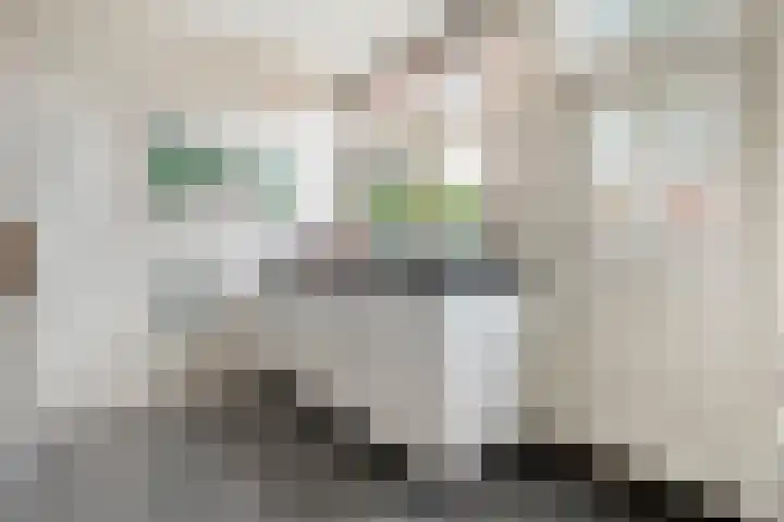 Dr. E.J. Roelfsemalaan 1 Meppel thumbnail 22