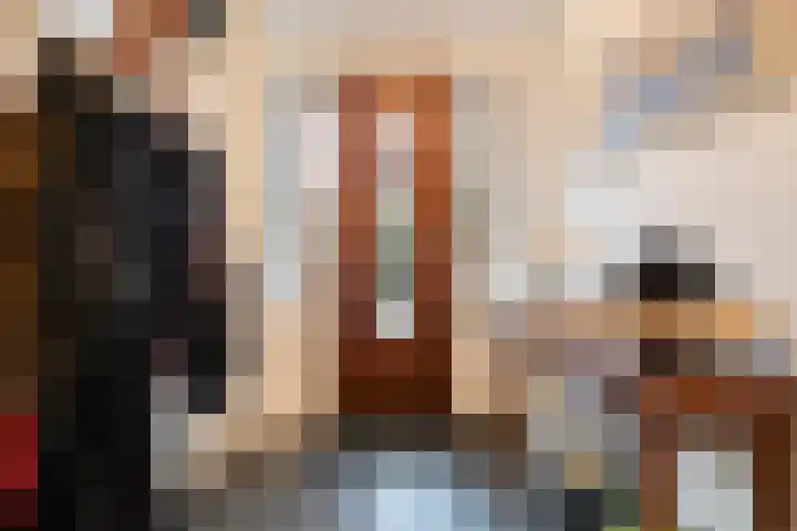 Dr. E.J. Roelfsemalaan 1 Meppel thumbnail 23