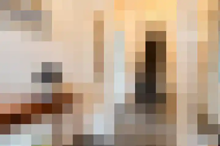 Dr. E.J. Roelfsemalaan 1 Meppel thumbnail 24