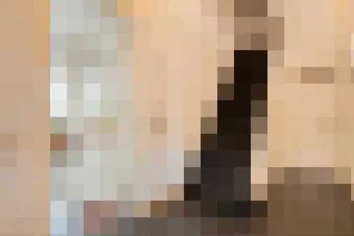 Dr. E.J. Roelfsemalaan 1 Meppel thumbnail 26
