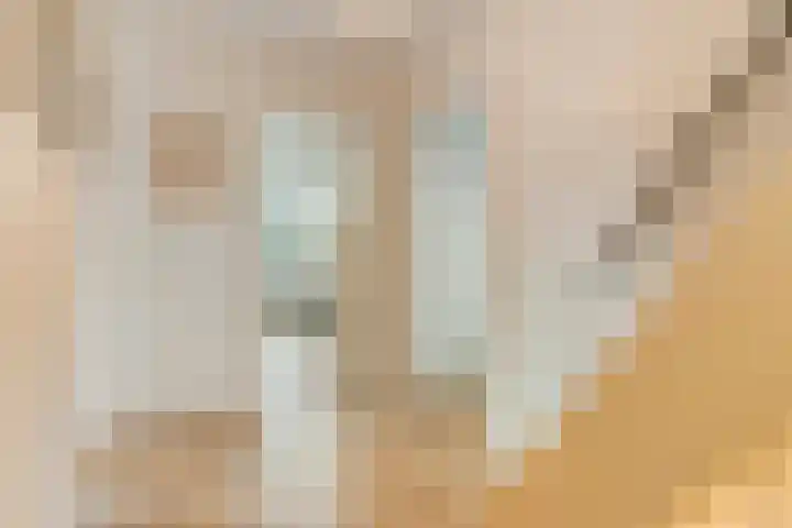 Dr. E.J. Roelfsemalaan 1 Meppel thumbnail 27