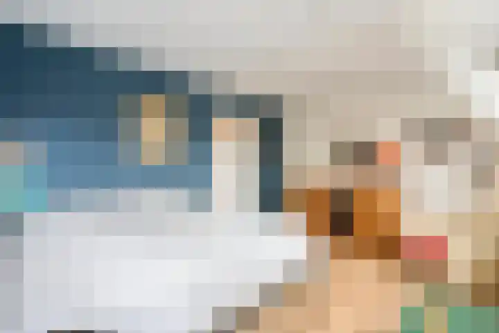Dr. E.J. Roelfsemalaan 1 Meppel thumbnail 31