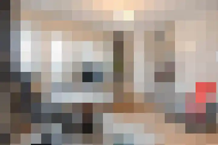 Dr. E.J. Roelfsemalaan 1 Meppel thumbnail 32