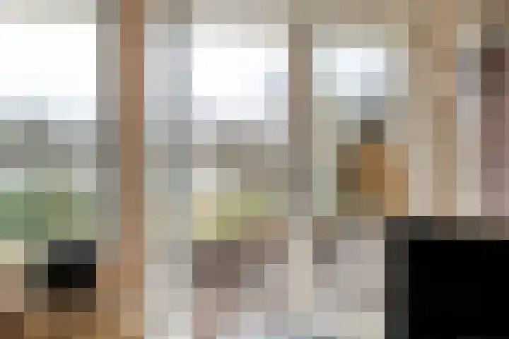 Dr. E.J. Roelfsemalaan 1 Meppel thumbnail 34