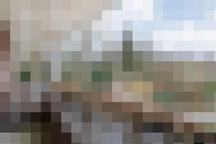 Dr. E.J. Roelfsemalaan 1 Meppel thumbnail 35