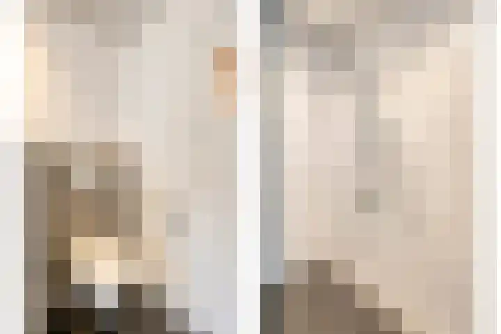 Dr. E.J. Roelfsemalaan 1 Meppel thumbnail 39