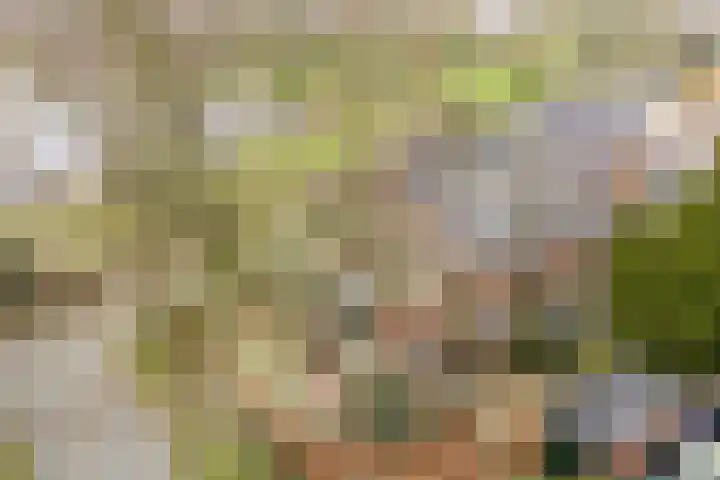 Dr. E.J. Roelfsemalaan 1 Meppel thumbnail 4
