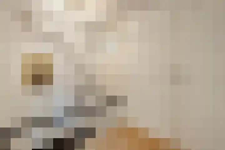 Dr. E.J. Roelfsemalaan 1 Meppel thumbnail 43