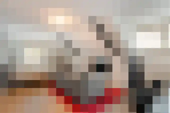 Dr. E.J. Roelfsemalaan 1 Meppel thumbnail 45
