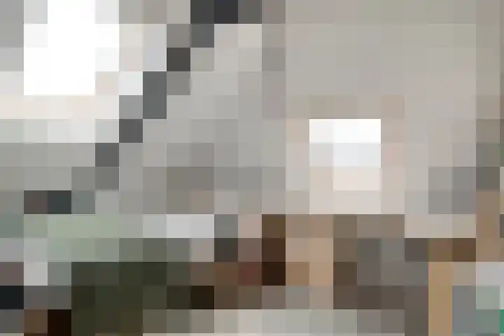 Dr. E.J. Roelfsemalaan 1 Meppel thumbnail 47
