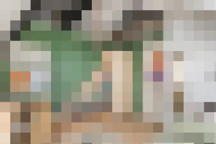 Dr. E.J. Roelfsemalaan 1 Meppel thumbnail 49