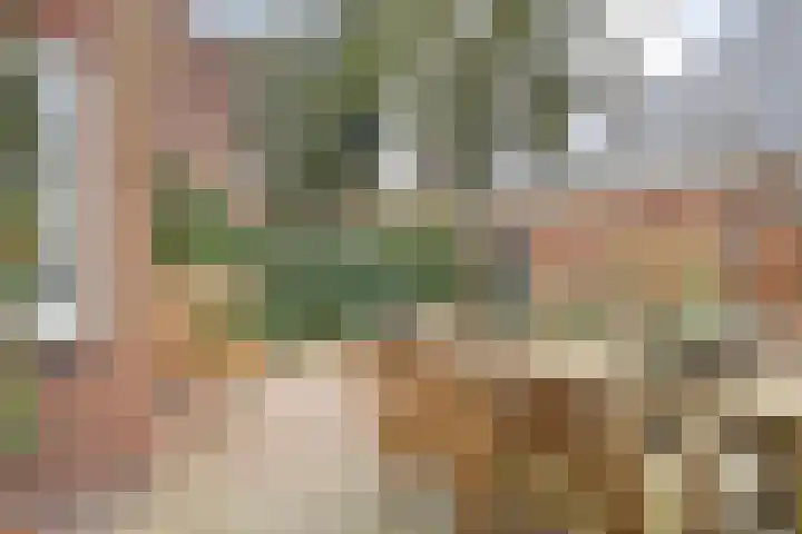 Dr. E.J. Roelfsemalaan 1 Meppel thumbnail 55
