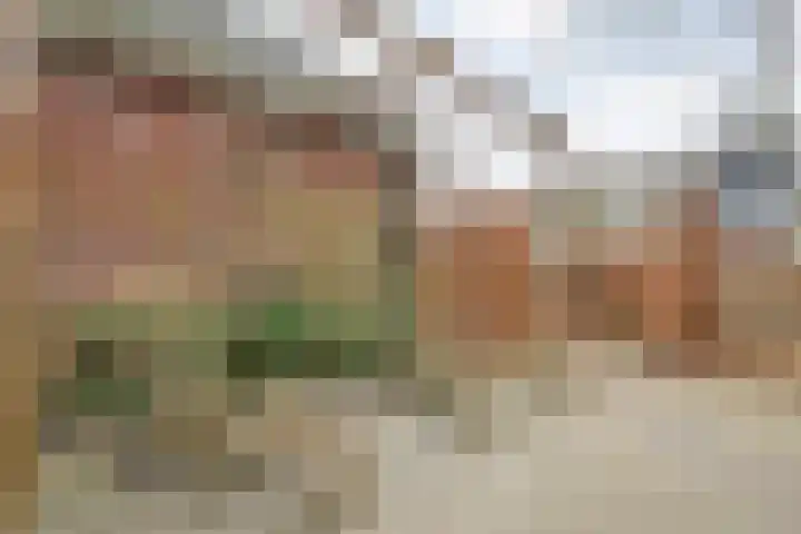 Dr. E.J. Roelfsemalaan 1 Meppel thumbnail 57