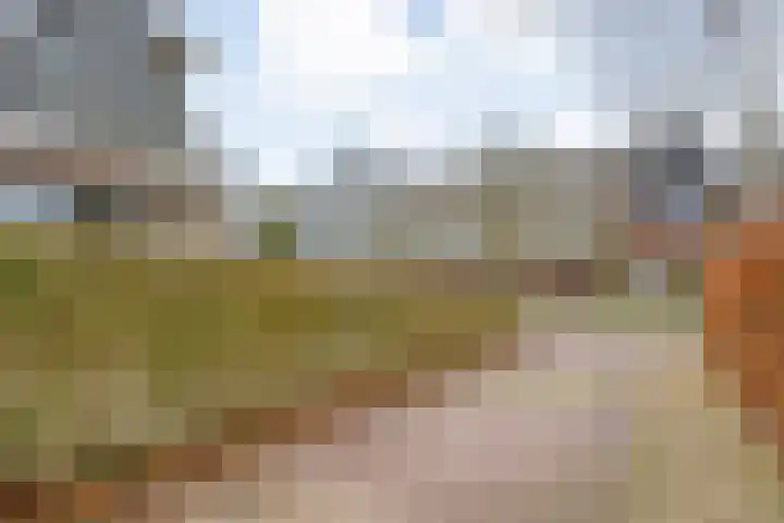 Dr. E.J. Roelfsemalaan 1 Meppel thumbnail 60