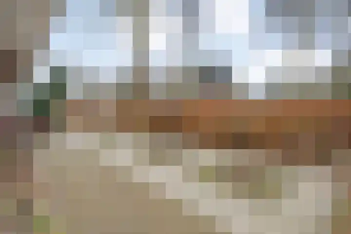 Dr. E.J. Roelfsemalaan 1 Meppel thumbnail 63