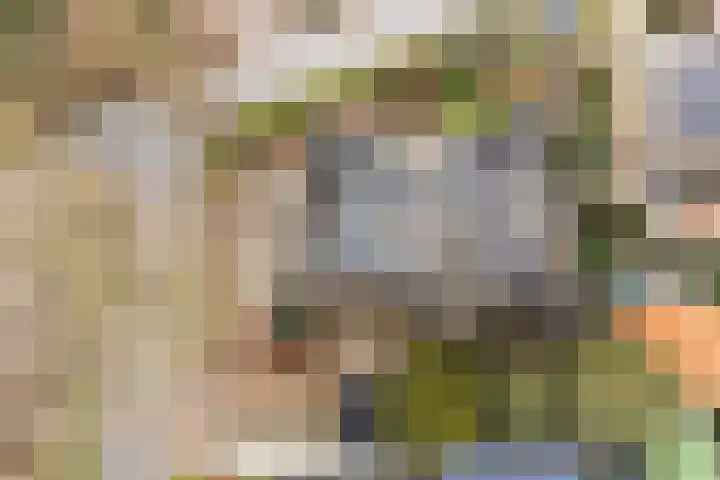 Dr. E.J. Roelfsemalaan 1 Meppel thumbnail 64