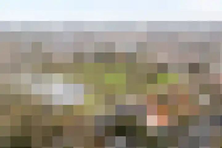 Dr. E.J. Roelfsemalaan 1 Meppel thumbnail 69
