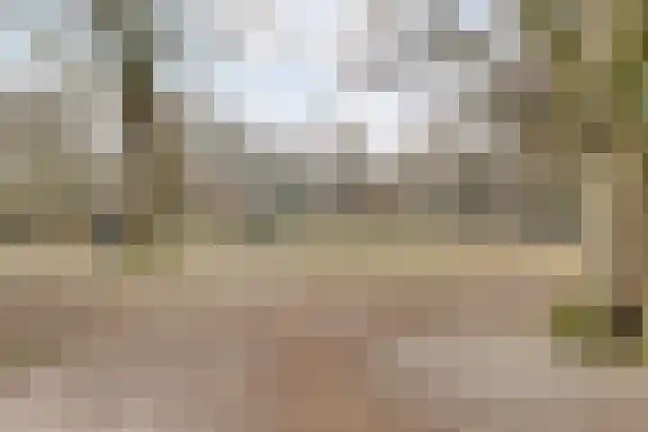 Dr. E.J. Roelfsemalaan 1 Meppel thumbnail 70