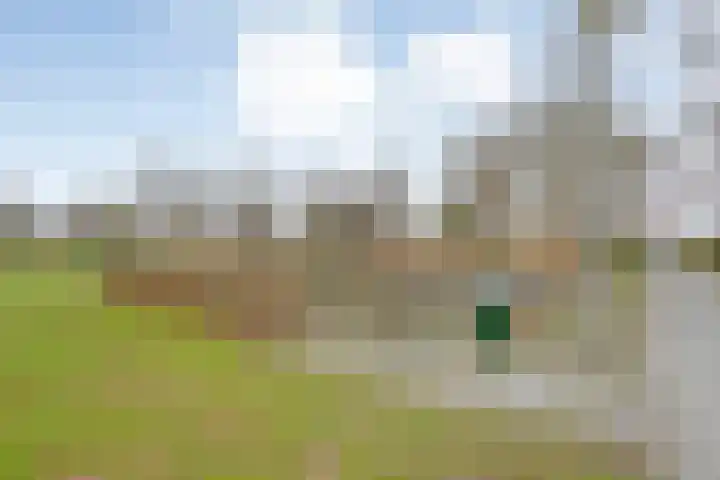 Dr. E.J. Roelfsemalaan 1 Meppel thumbnail 71