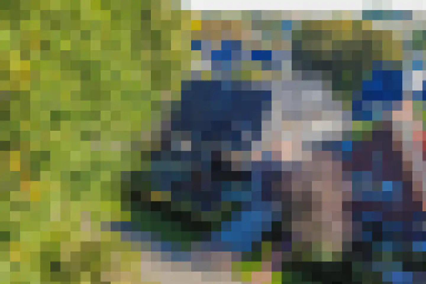 Dr. E.J. Roelfsemalaan 2 in Meppel