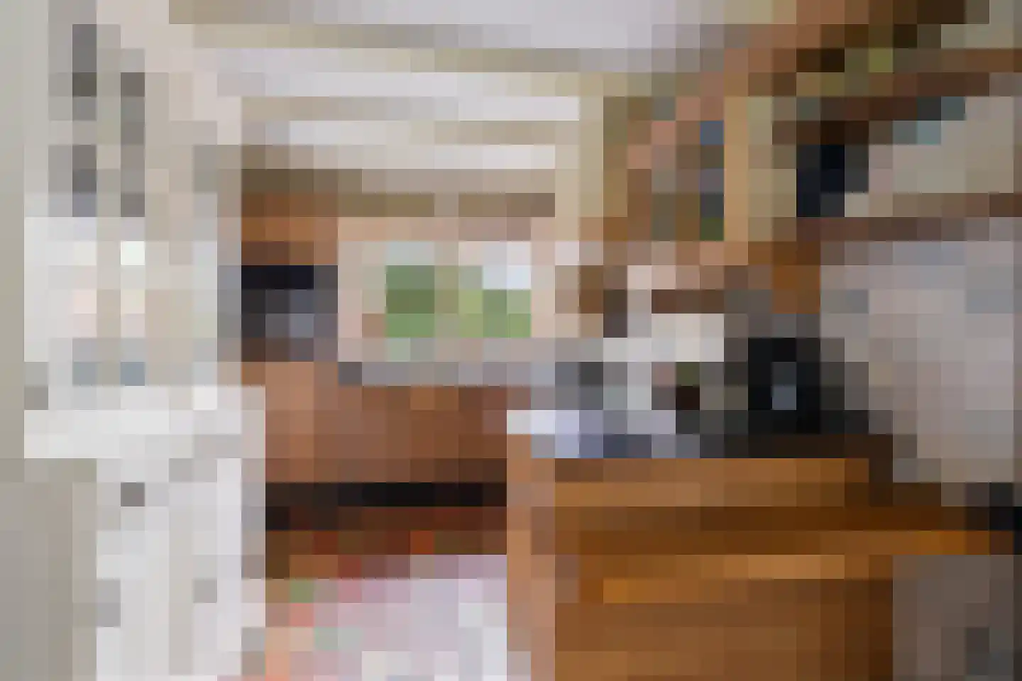 Dr. E. Wassenberghstrjitte 10 Gytsjerk thumbnail 10