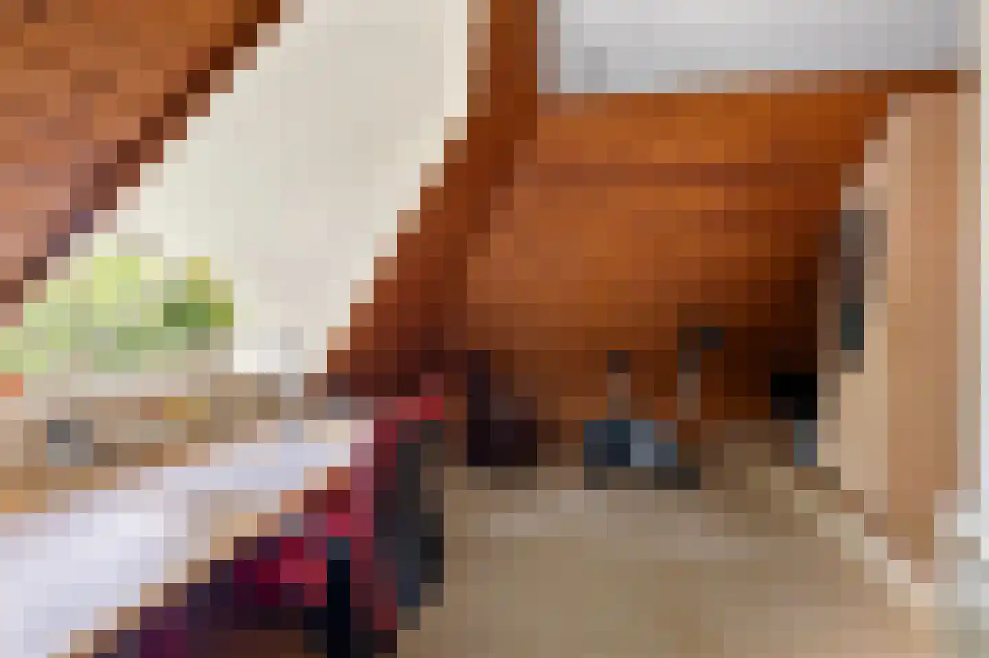 Dr. E. Wassenberghstrjitte 10 Gytsjerk thumbnail 23